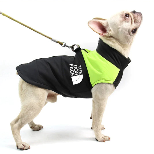 The Dog Face - MultiColor Waterproof Rain Jacket